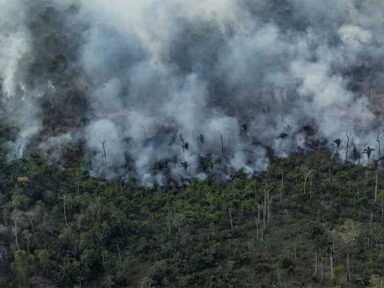 Desmatamento na Amazônia atinge novo recorde em outubro com 904 km²