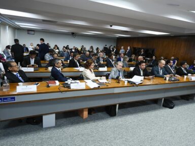 Terroristas estiveram no Senado participando de audiência convocada por aliados de Bolsonaro
