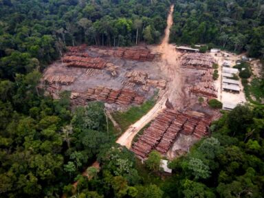 Lideranças condenam ação de Bolsonaro que liberou exploração de madeira em terras indígenas