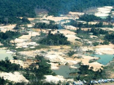 Ministério dos Direitos Humanos afirma que Bolsonaro “fechou os olhos para a tragédia yanomami”