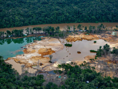 “Lavagem” de ouro do garimpo ilegal da Terra Yanomami por empresas de SP é alvo da Justiça