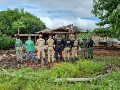 Desmatamento na Amazônia cai 61% no primeiro mês do governo Lula, aponta Inpe