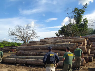 Desmatamento na Amazônia cai 67,9% em abril, a menor marca dos últimos três anos