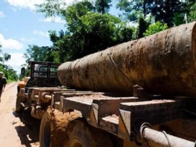 Incra quer anular compra de propriedade gigante na Amazônia por empresa estrangeira