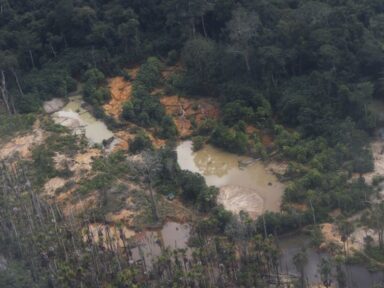 PF faz operação contra o esquema de contrabando de ouro ilegal na Amazônia