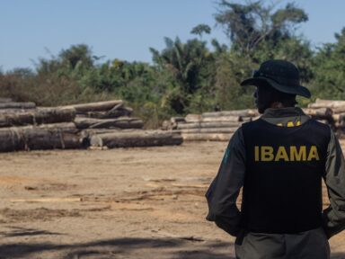 AGU libera cobrança de R$ 29 bi em multas contra criminosos ambientais anuladas no governo anterior