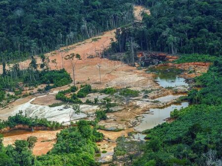Yanomami: governo Bolsonaro sabotou visita da ONU ao Brasil para examinar genocídio indígena