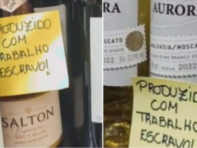 <strong>Vinícolas Aurora, Garibaldi e Salton são suspensas de programa de exportação do governo</strong>