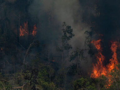 Amazônia e Cerrado registram novos recordes de desmatamento, alerta Inpe