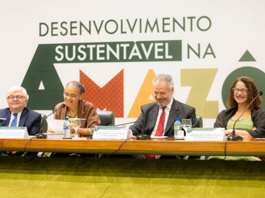 Ministério da Ciência e Tecnologia propõe cooperação entre países da Amazônia para monitorar bioma