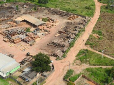 Operação da PF e Ibama retira invasores e combate desmatamento da Terra Karipuna, em Rondônia