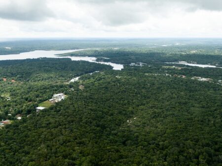 Inpe: desmatamento na Amazônia cai 31% nos 5 meses do governo Lula