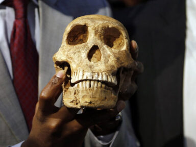 Homo naledi: um ponto fora da curva?