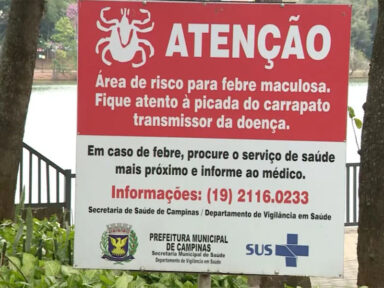 Desmonte do instituto Sucen dificulta enfrentamento da febre maculosa, criticam pesquisadores de SP
