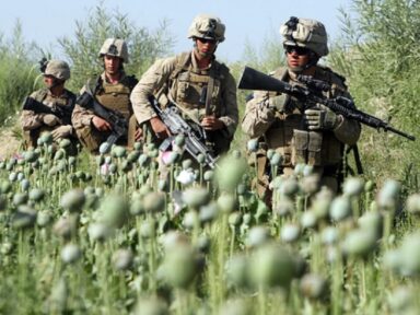 Após fim da ocupação dos EUA, Afeganistão reduz em 80% a produção de ópio