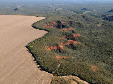 Desmatamento chega ao menor índice na Amazônia, mas dispara no Cerrado, aponta Inpe