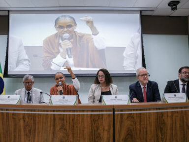 Dados do INPE são fundamentais para combater o desmatamento, dizem ministras Luciana e Marina