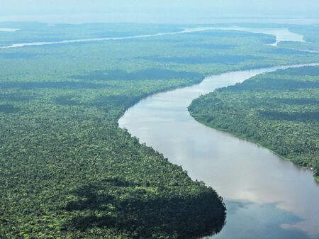 Área desmatada na Amazônia continua caindo: de 1.454,76 km² para 629,3 km² em setembro