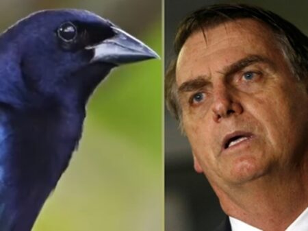 “Bolsonaro não passa de um parasita e atua como o chupim”, diz Paulo Pimenta