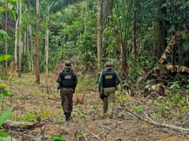 Desmatamento da Amazônia cai 62% de janeiro a novembro de 2023, aponta Imazon