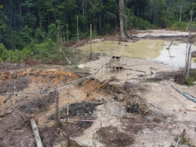 Justiça Federal determina que União estabeleça novo plano de ações contra garimpo ilegal na Terra Yanomami
