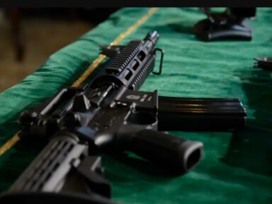 Em 2023, PF registrou o menor número de novas armas de fogo desde 2004