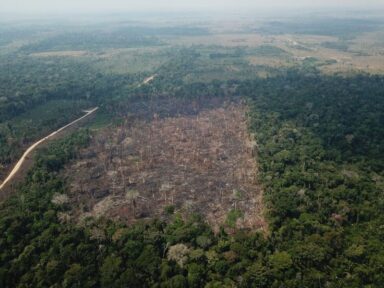 BNDES veta créditos de R$ 326 milhões a projetos em áreas com registro de desmatamento ilegal