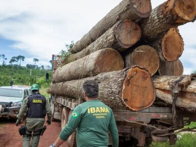 Servidores do Ibama paralisam atividades em protesto por reajuste salarial
