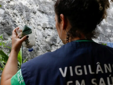Brasil registra mais de 217 mil casos de dengue em janeiro
