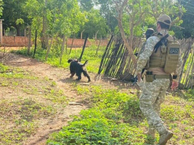 Ministro da Justiça autoriza uso da Força Nacional para atuar na busca de fugitivos de Mossoró