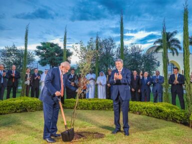 Lula presta solidariedade à Palestina vítima do massacre israelense