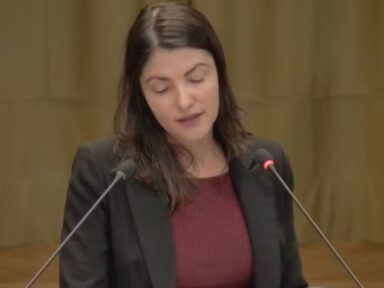 “Mundo não pode aceitar ocupação de territórios palestinos por Israel”, diz Brasil em Haia