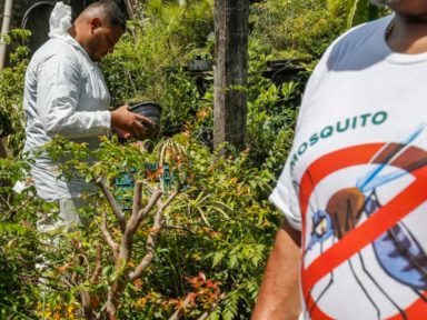 Brasil ultrapassa marca de 2 milhões de casos de dengue em apenas três meses