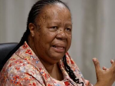 “Morticínio e destruição em Gaza são piores do que no apartheid”, afirma ministra da África do Sul