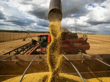 “Mercado” estima alta de 0,7% no PIB  do primeiro trimestre