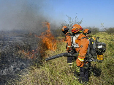 Governo federal reforça combate ao fogo após recorde de focos de incêndio no Pantanal