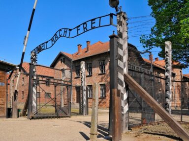 Integrante do regime de Zelensky faz vídeo em Auschwitz usando camiseta com frase de Hitler