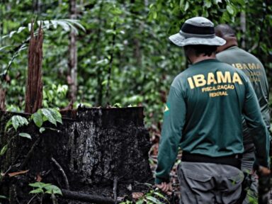 Arapongas de Bolsonaro bisbilhotaram agentes do Ibama