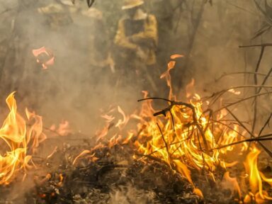 PF descobre que incêndios em 30 áreas do Pantanal foram criminosos