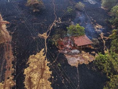 Incêndios em São Paulo foram coordenados e causados por ação humana, diz Defesa Civil