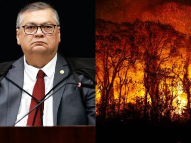 Dino pede toda mobilização do governo para combater incêndios no Pantanal e Amazônia