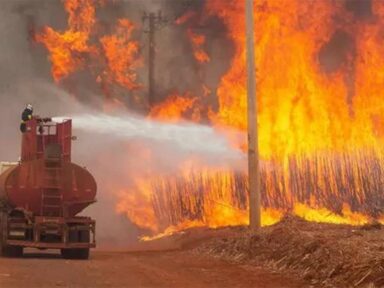 PF abre 31 inquéritos para investigar incêndios criminosos na Amazônia, Pantanal e São Paulo