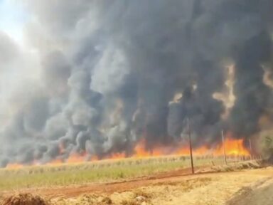 Governo federal anuncia força-tarefa para combate a incêndios no interior de São Paulo