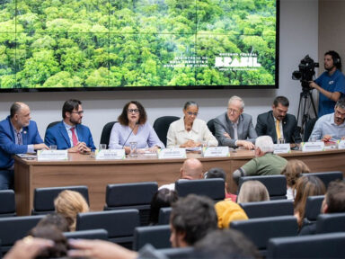 Desmatamento na Amazônia cai 45,7% em 2024, mas Cerrado registra aumento recorde