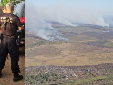 Pantanal: ladrões de terra e incendiários que causaram danos de R$ 220 mi são alvos da PF