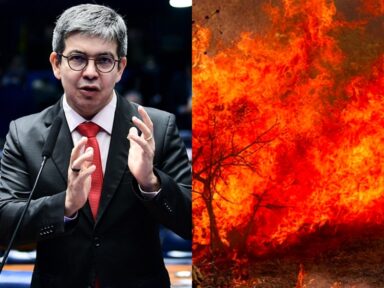 Randolfe protocola projeto com penas mais duras para os incendiários de florestas