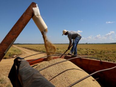 Recuperação judicial de produtores rurais com CNPJ cresce 40,6% no 2º trimestre