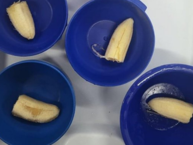 Terceirizada dá meia banana para crianças e proíbe repetir merenda em escolas de São Paulo