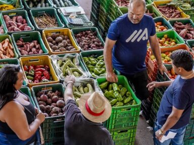 Quaest: 80% dos brasileiros sentem que o preço dos alimentos subiu