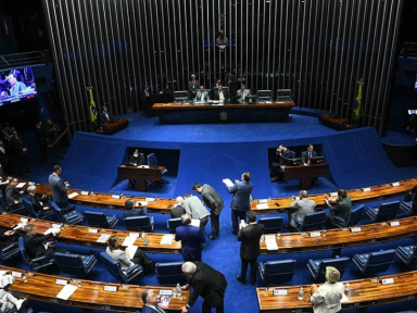“Mãe das boiadas”: Senado aprova PL que desregula o licenciamento ambiental no país